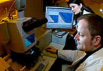 Laboratorios