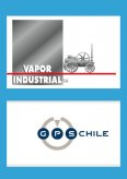 Vapor Industrial y GPS Chile